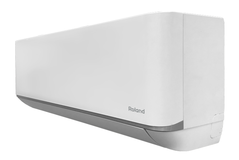 Roland WIZARD RD-WZ09HSS/N1 (комплект)